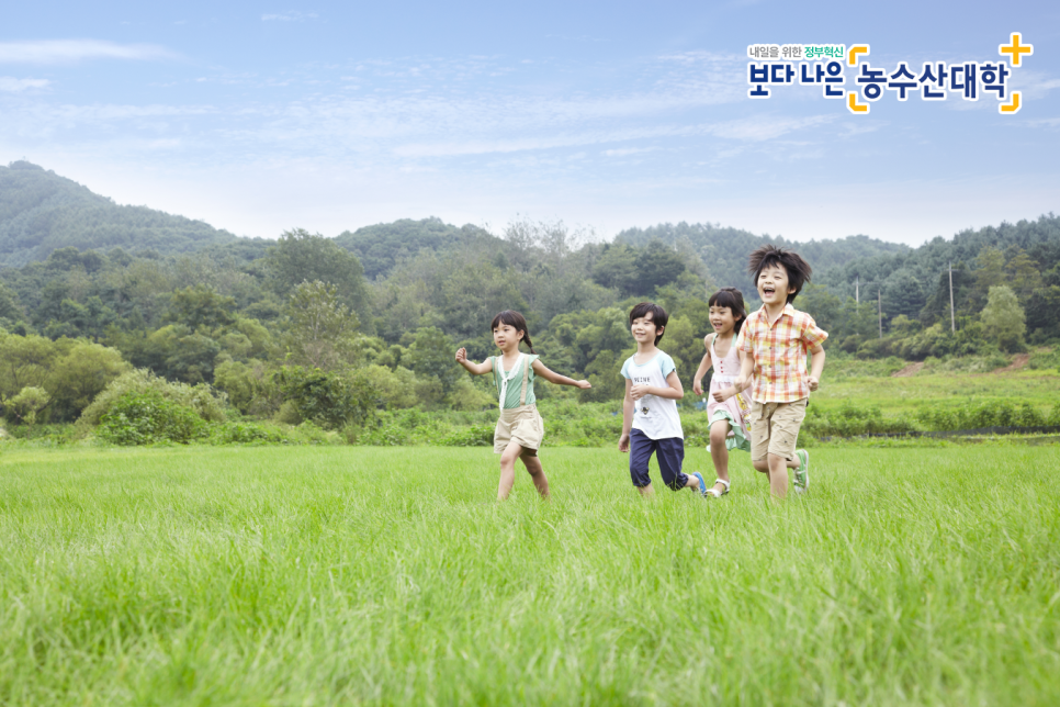 행정리 2-6 이미지