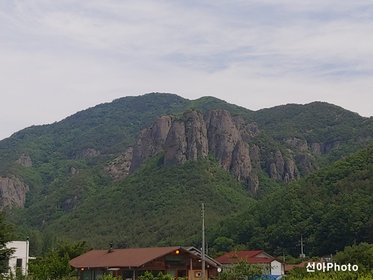 청솔식당 이미지