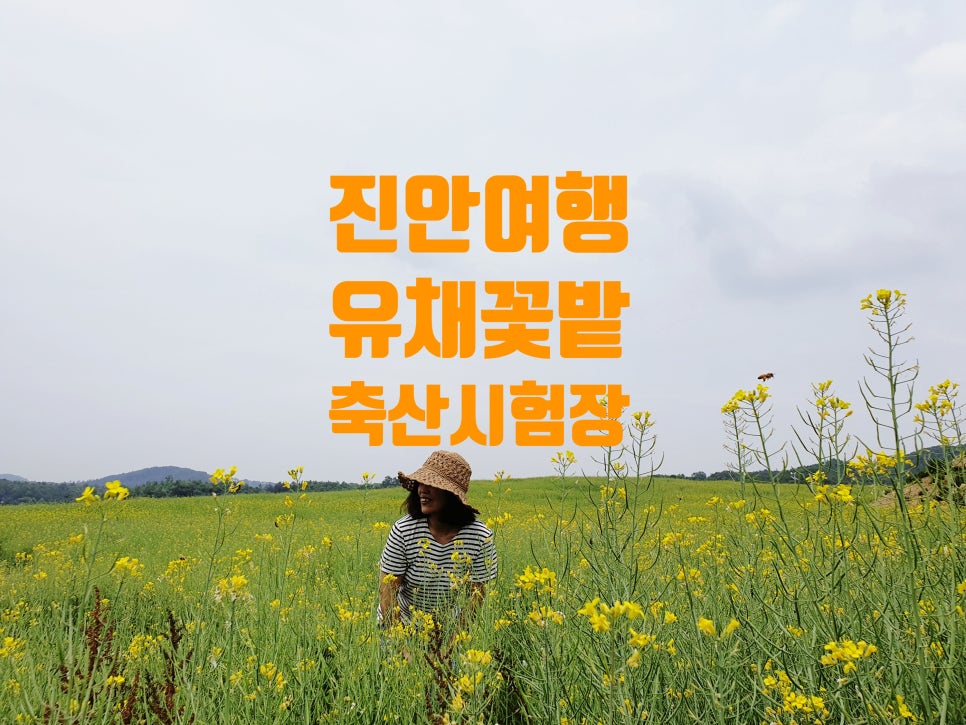 만평축산 이미지