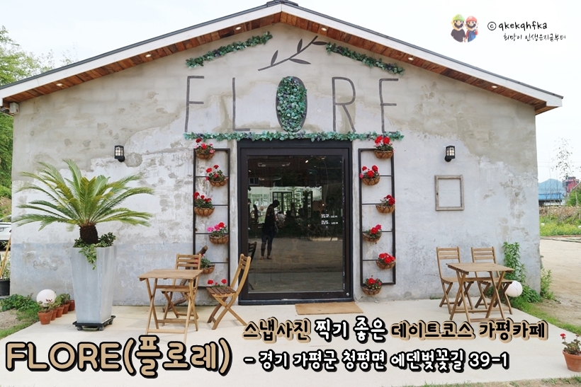 플로레소 이미지