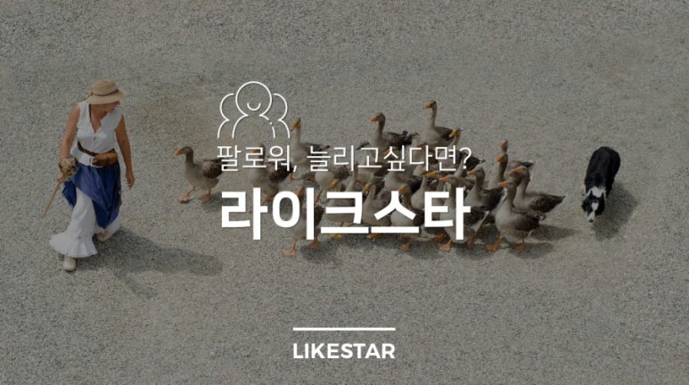 수라이크 이미지