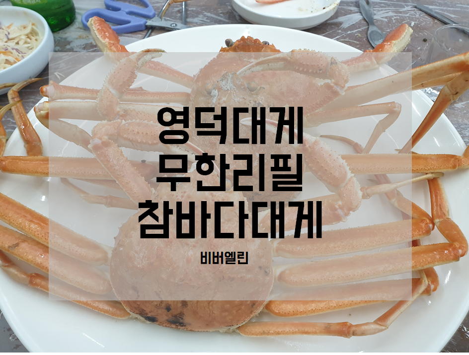 참바다&대게와친구 이미지