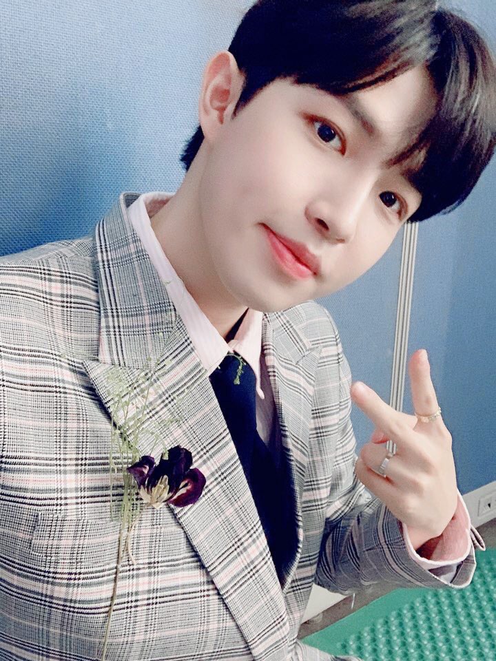 미니모아 이미지