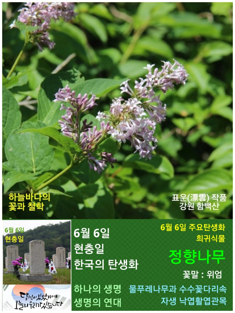 나무ENG 이미지