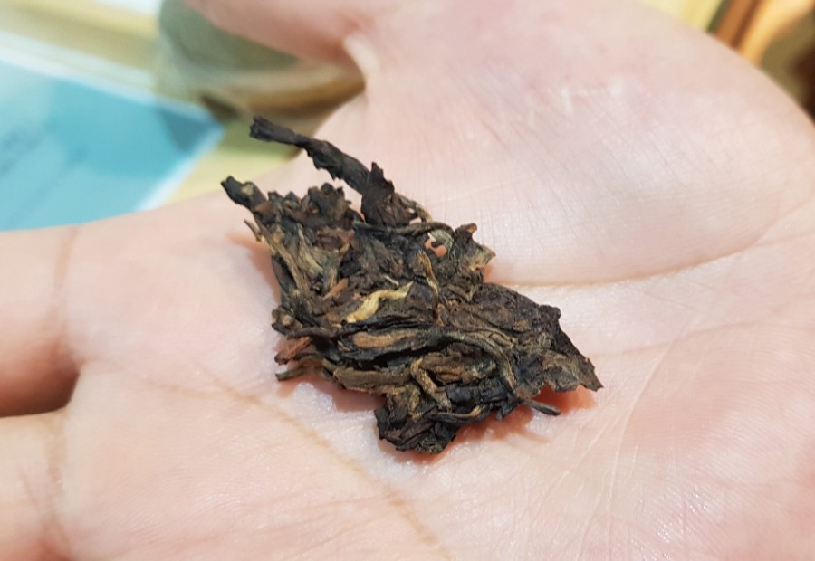 무주다다펜션.갤러리다다 이미지