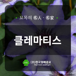 한국원예종묘 이미지