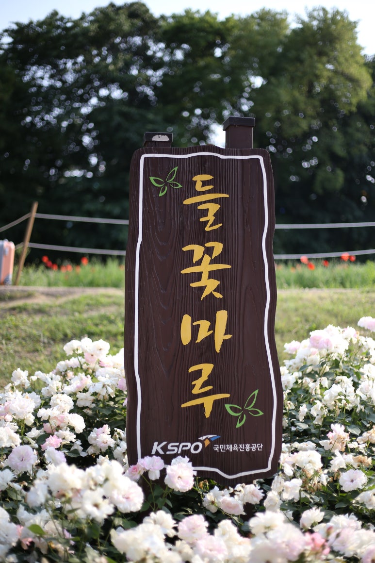꽃들마루 이미지