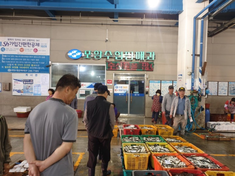 덕성호수산 이미지