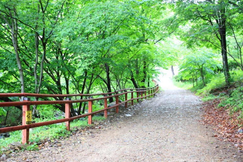 국립운장산자연휴양림 이미지