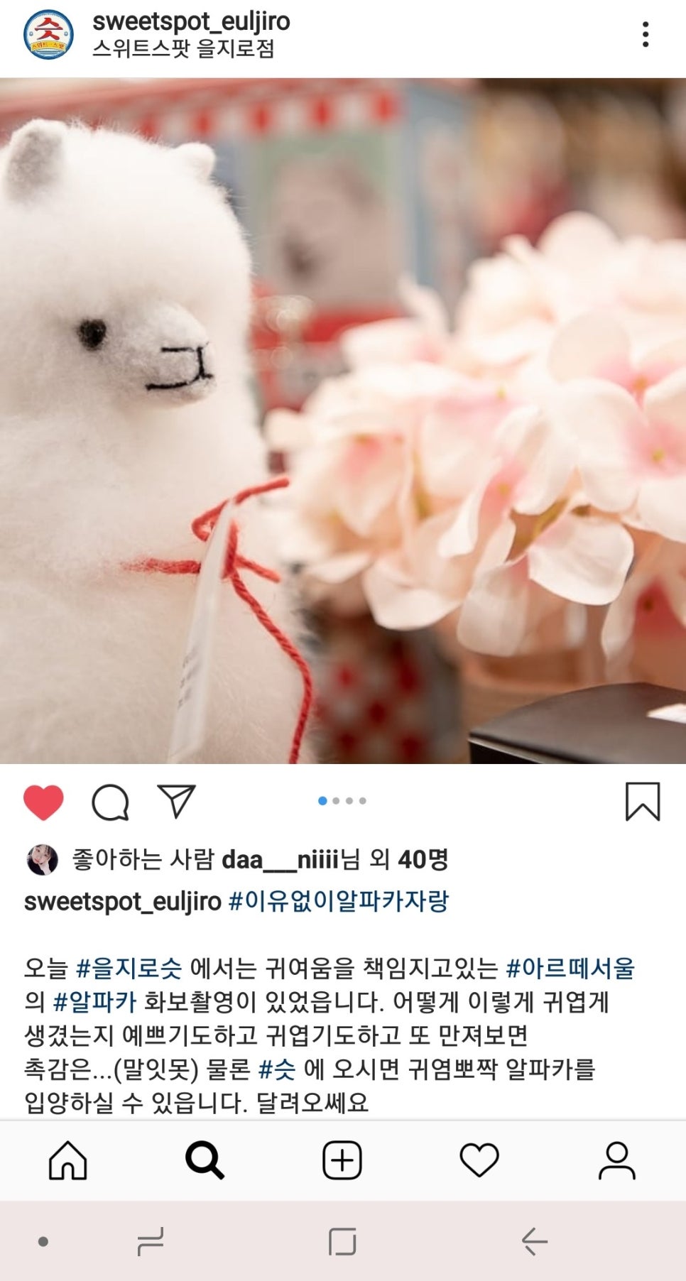 스위터즈 이미지