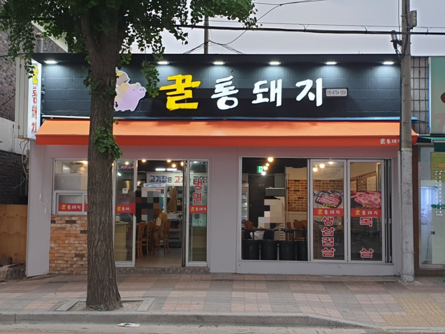 꿀통돼지 이미지