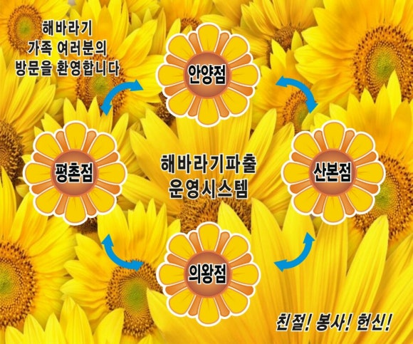 해바라기파출 이미지