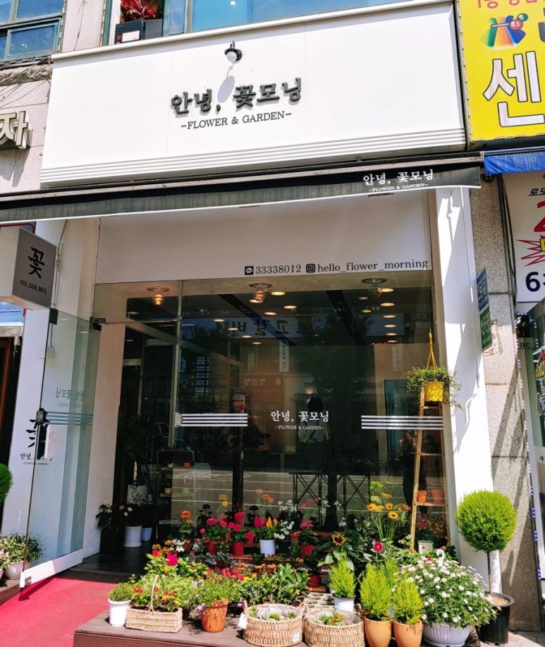 안녕;꽃모닝 이미지