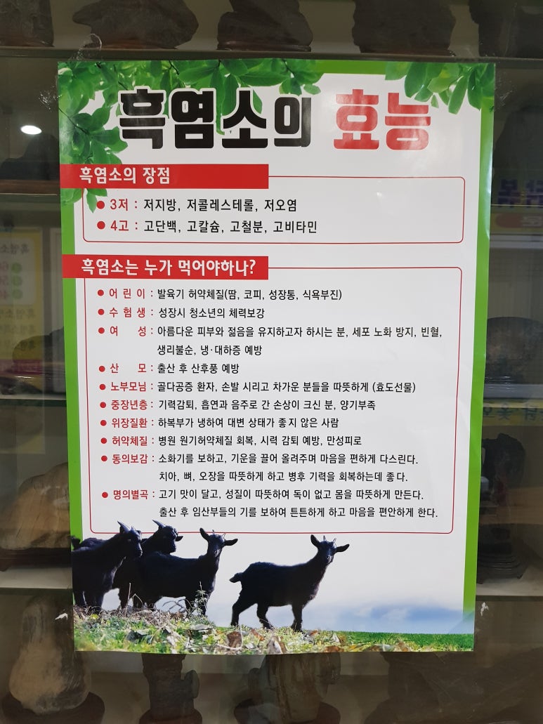 토담골흑염소 이미지