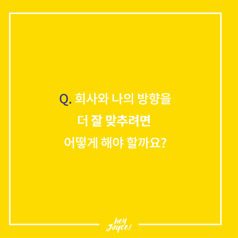 헤이코리아 이미지