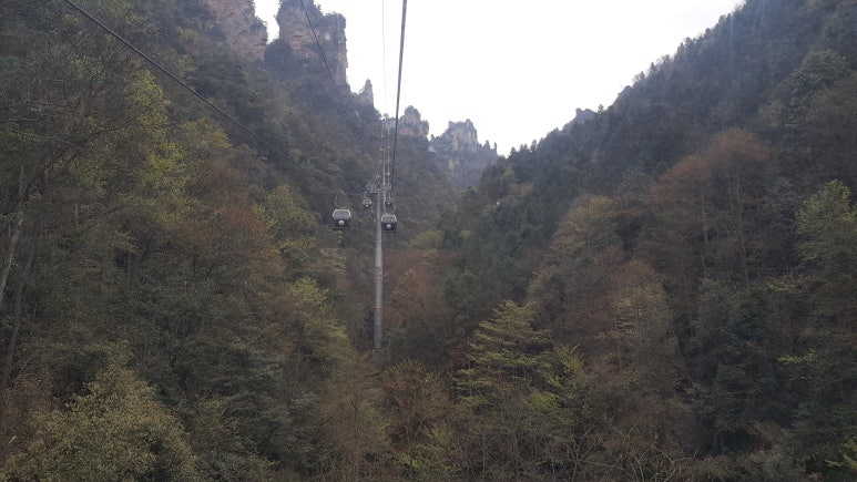 이동강변갈비 이미지