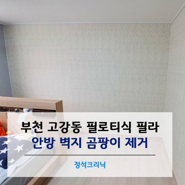정석크리닉 이미지