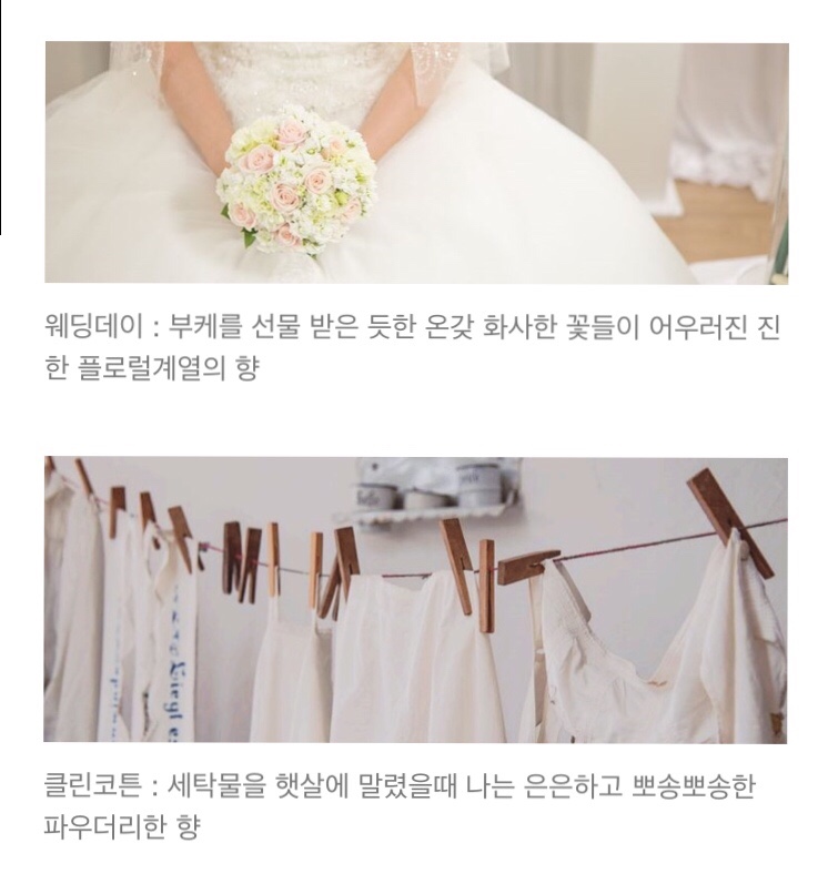 캔들플래닛 이미지