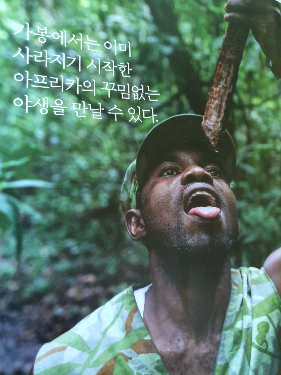 트래블 디스 이즈 아프리카 이미지