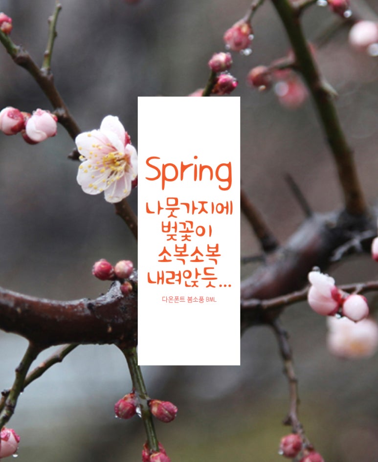 다온패키지 이미지