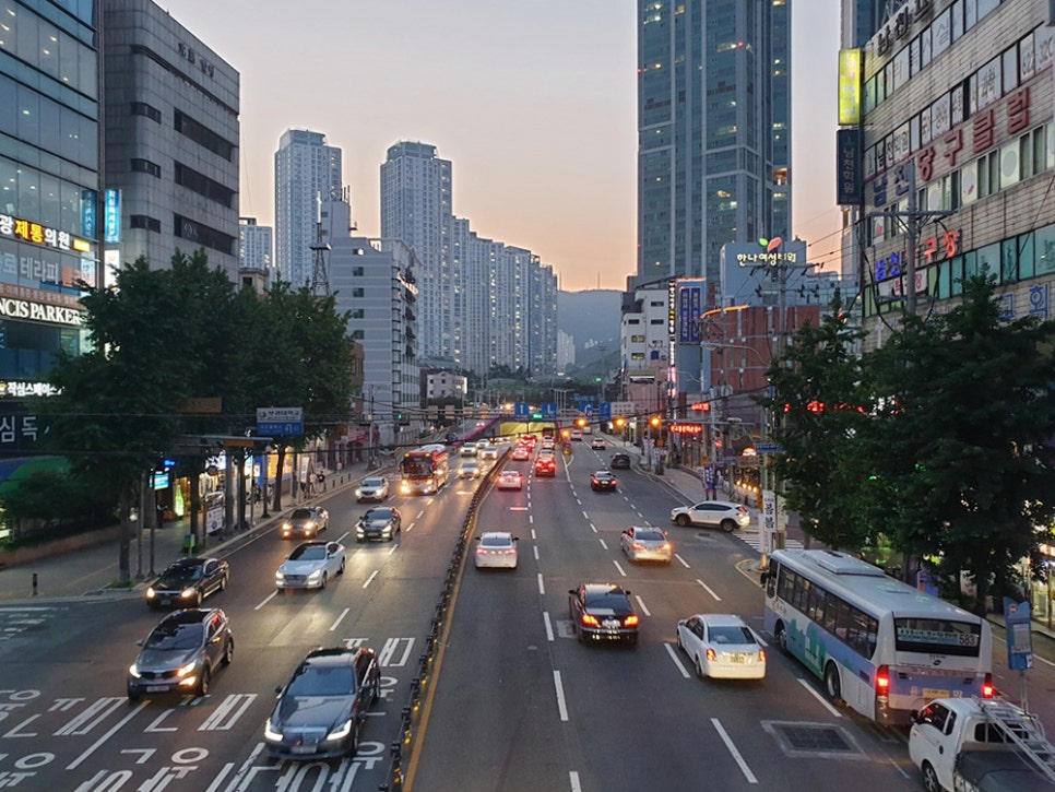 남천해변시장이유집 이미지