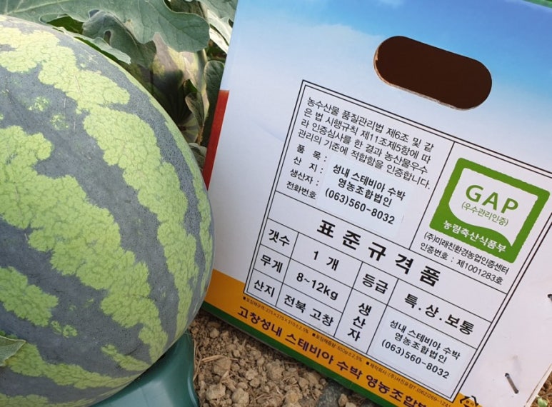 성내식품 이미지