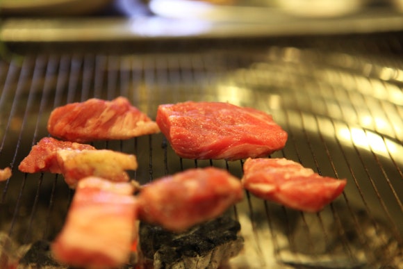 고기바보 이미지