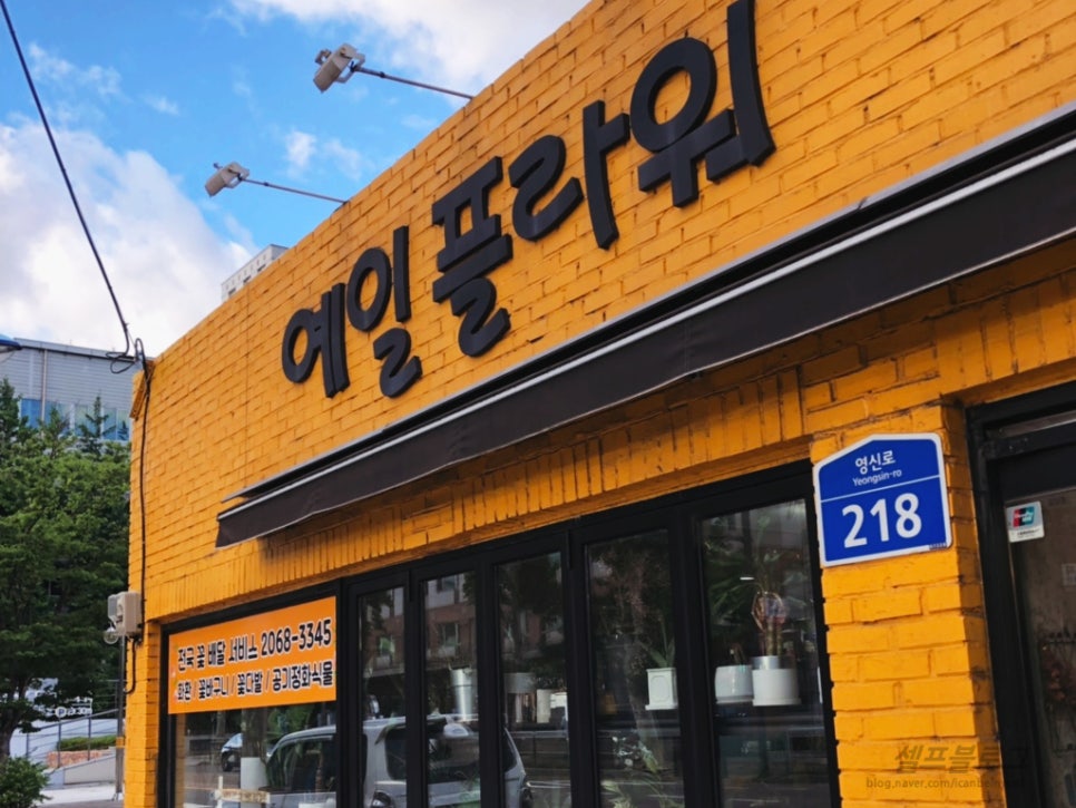 예일플라워 이미지