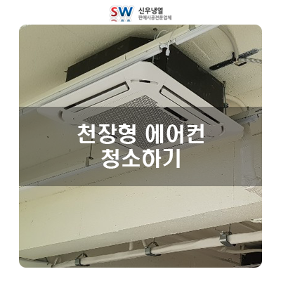 신우냉열 이미지