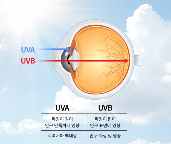 장땡 이미지