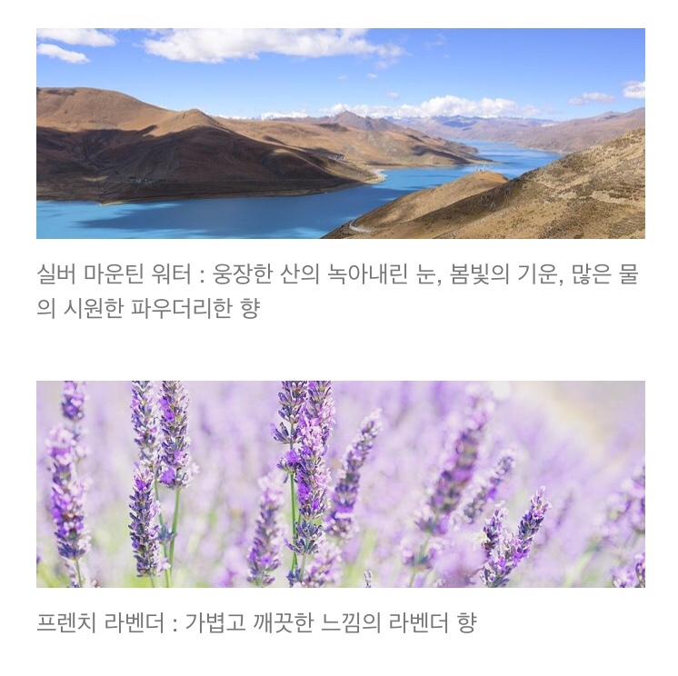 캔들플래닛 이미지