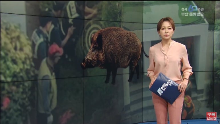 롯데센텀미샤 이미지