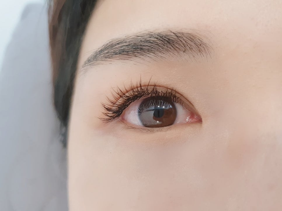 아루브 이미지