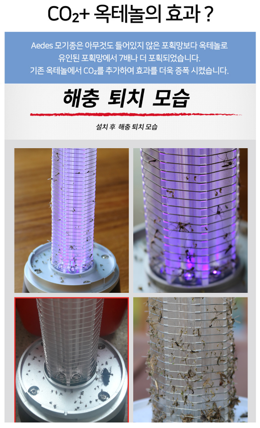 버그클린 이미지