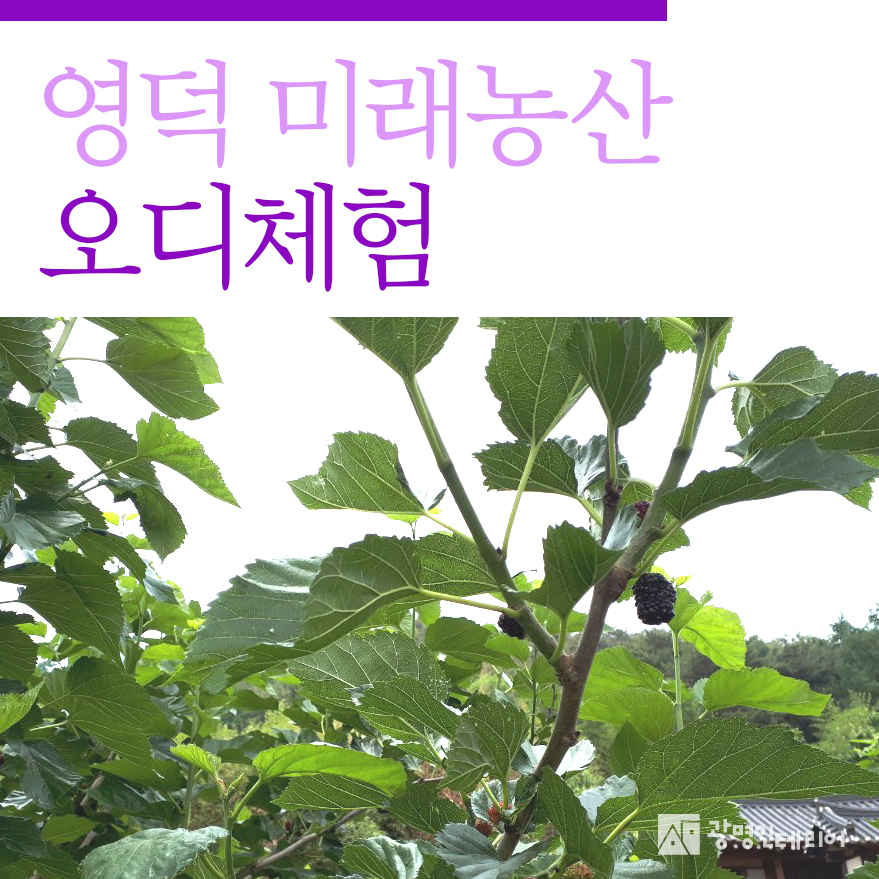 미래농산 이미지