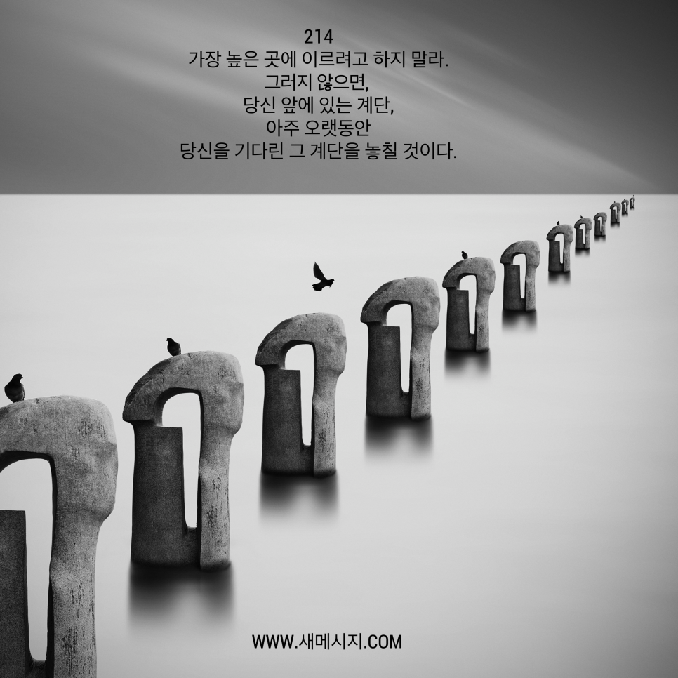 페이지214 이미지
