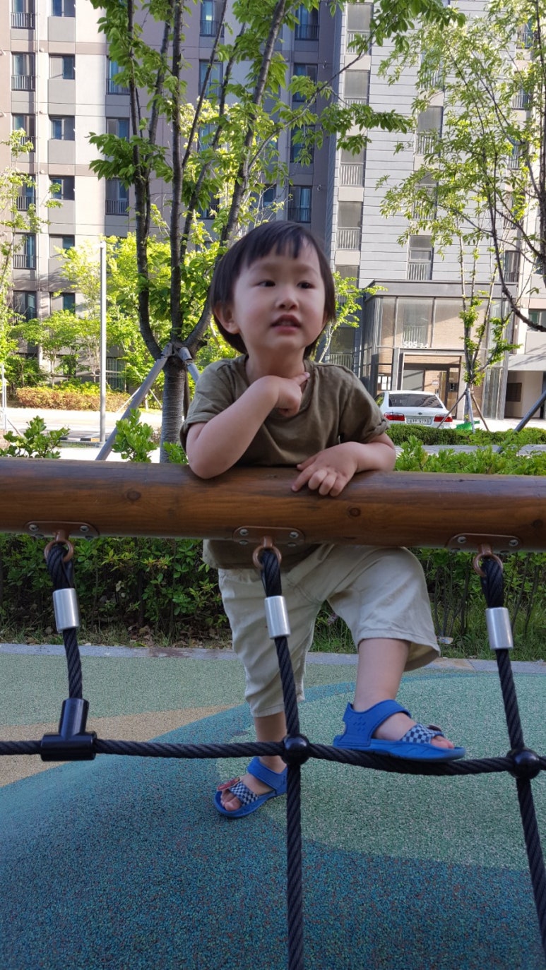 연세승마클럽 이미지