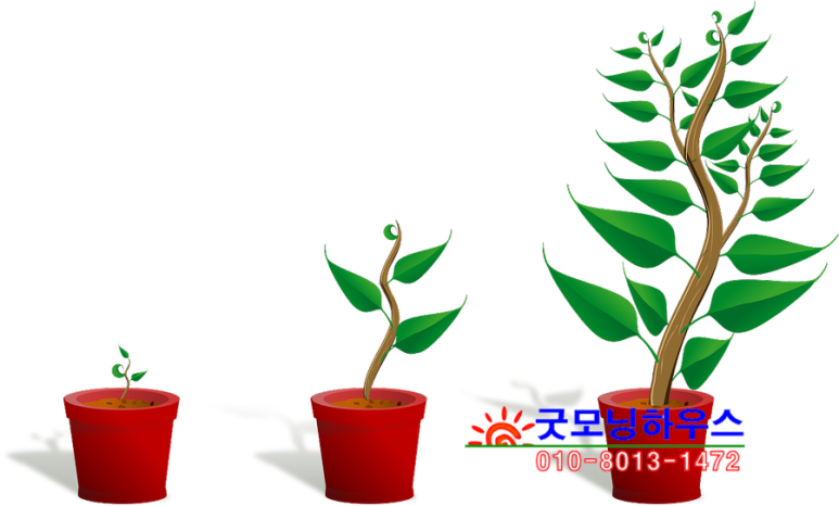 건물보기 이미지