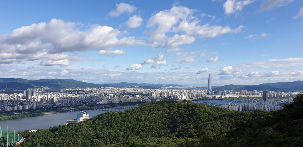 에스와이유 이미지