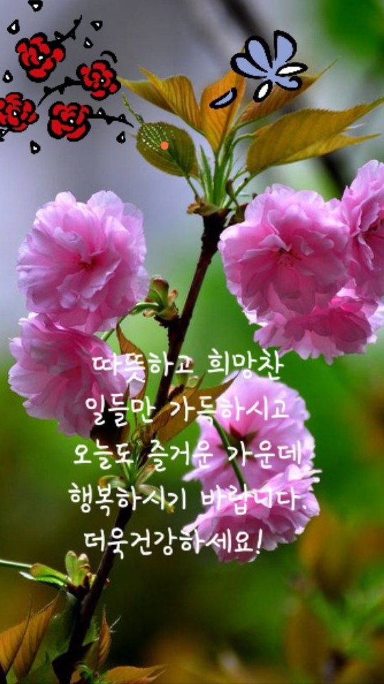 여명꽃집 이미지