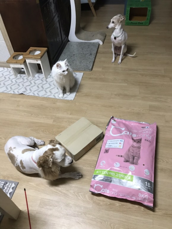 우리집밥 이미지