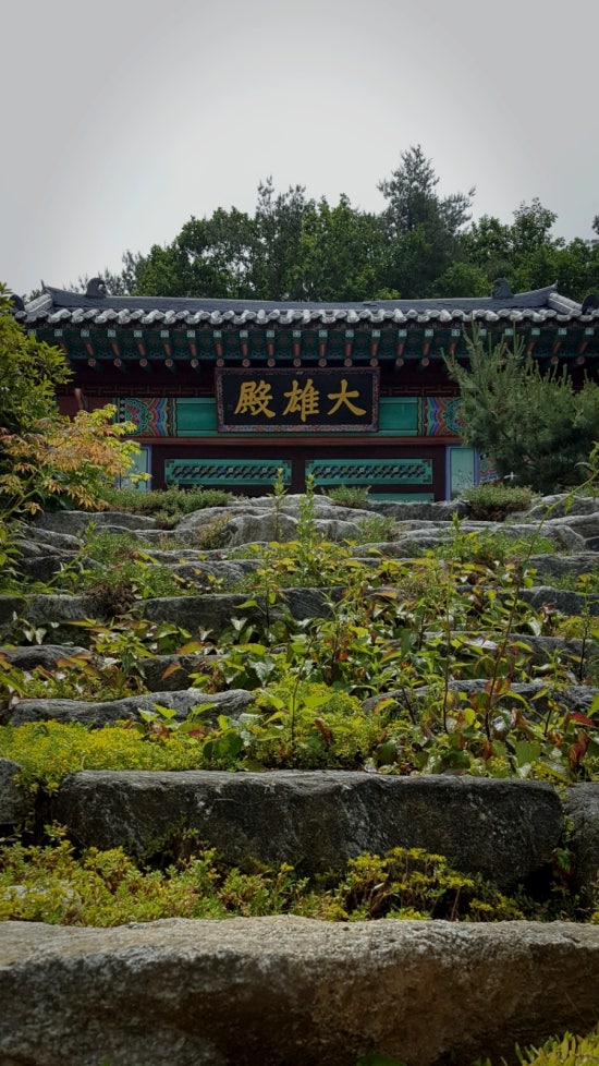 세종장례식장 이미지