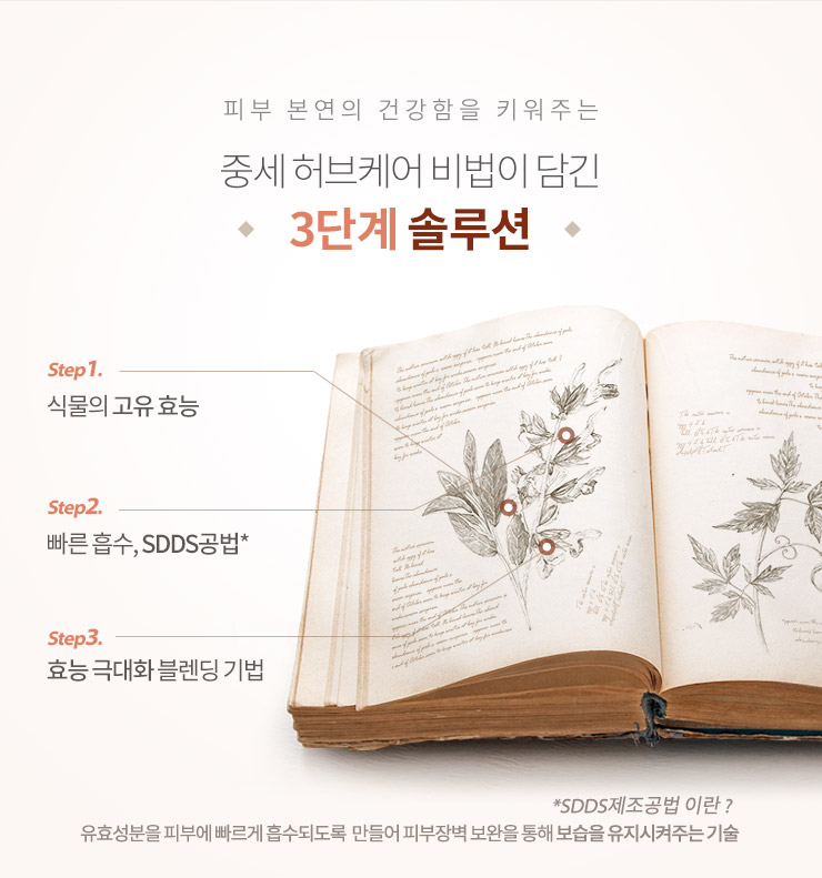 썬테라피 이미지