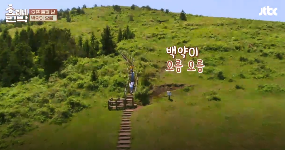 수월봉민박 이미지