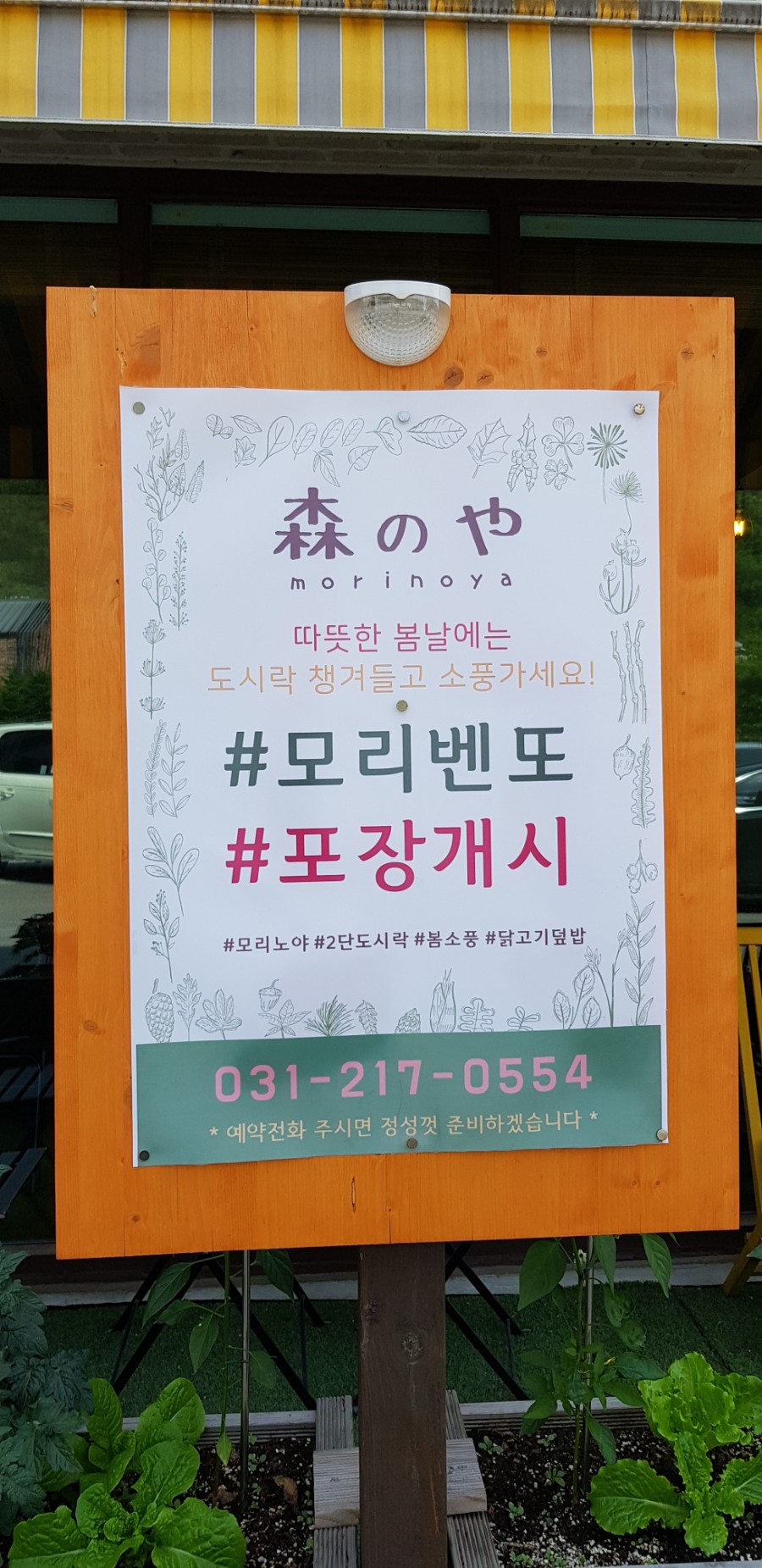 봄숲속모리 이미지