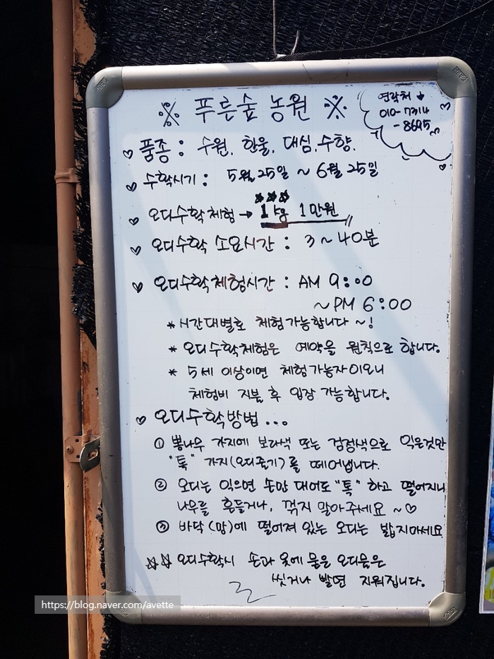 푸른숲농원 이미지