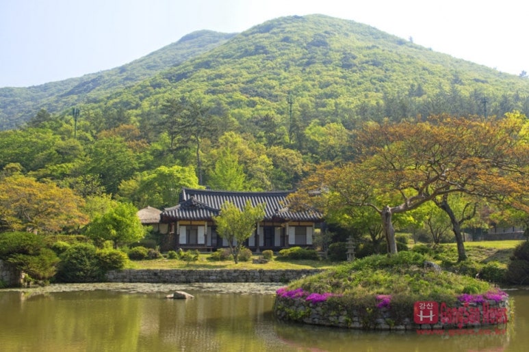 남도고향막걸리 이미지