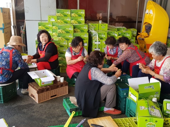 여주축산업협동조합 이미지