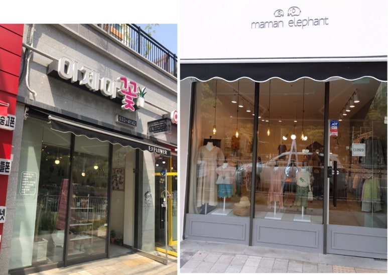 마망엘리펀트 이미지