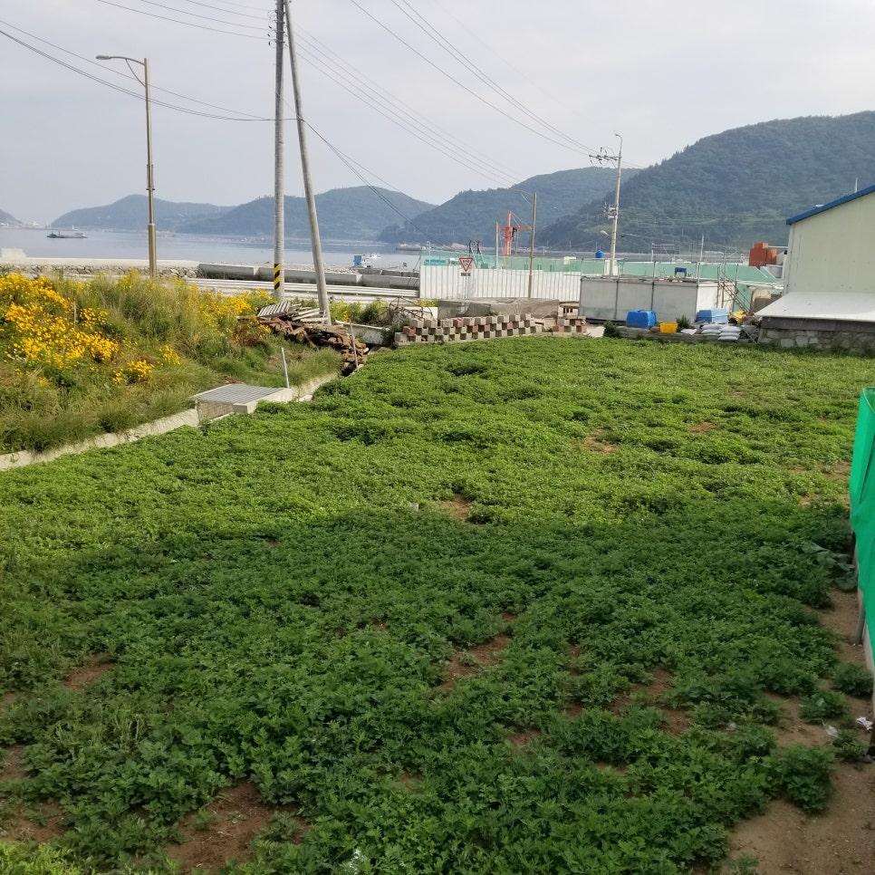 해풍친환경영농조합법인 이미지